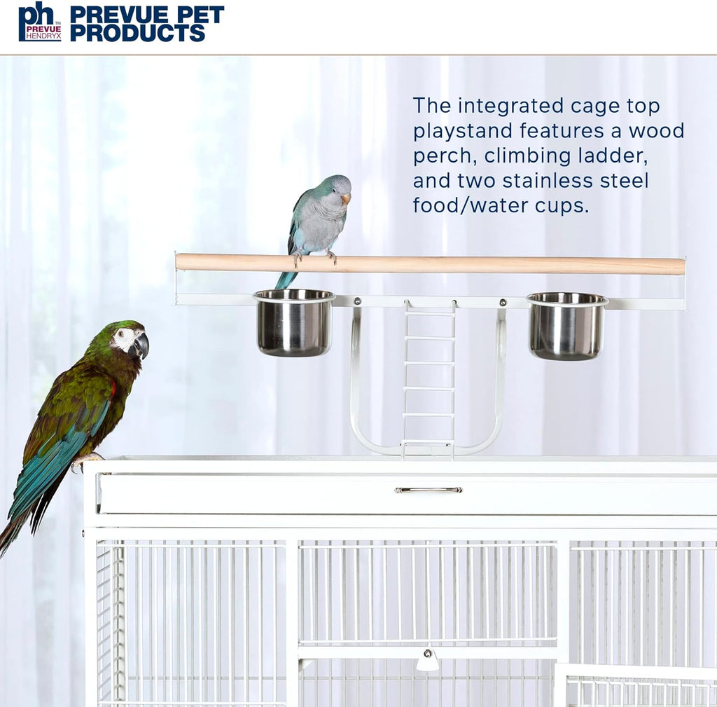 Pet Products Wrought Iron Select Bird Cage 3154C, Chalk White, 36-Inch by 24-Inch by 66-Inch